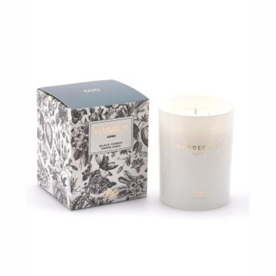 EDG Candela Profumata Wanderlust Black Forest Aspen 470g