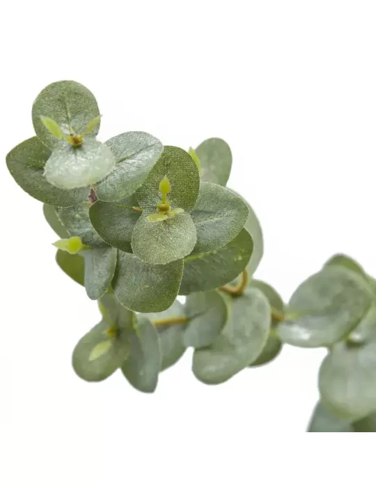 Ramo Artificiale Eucalipto Rex x5 H145 Verde Salvia - EDG Enzo De Gasperi