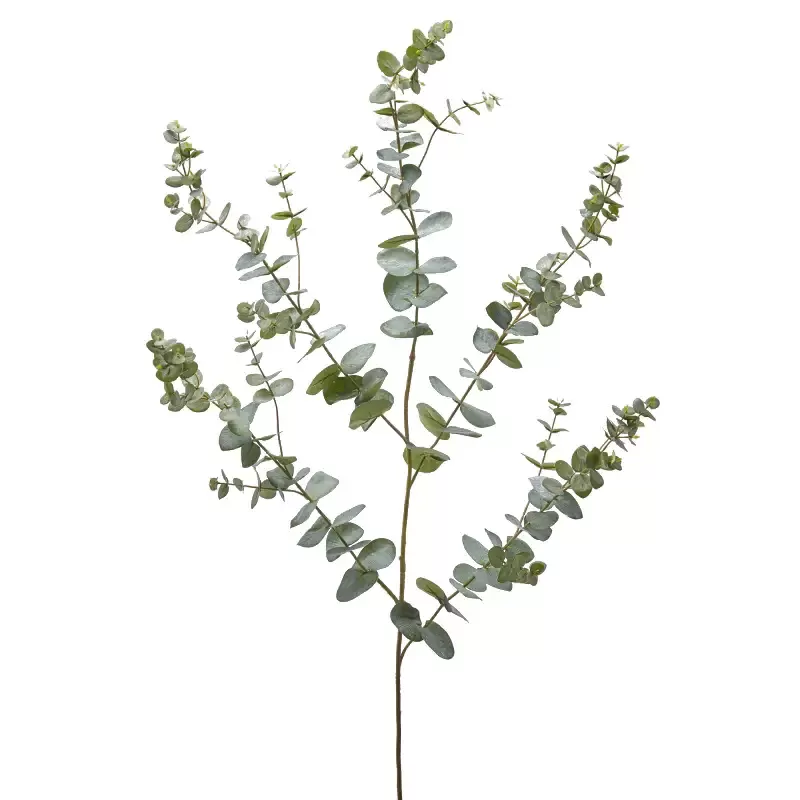 Ramo Artificiale Eucalipto Rex x5 H145 Verde...