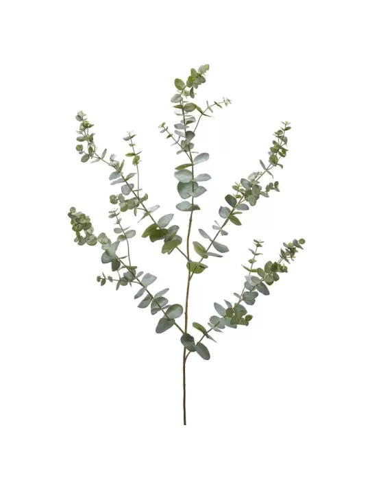 Ramo Artificiale Eucalipto Rex x5 H145 Verde...