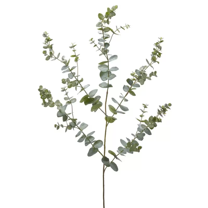 EDG Eucalipto Rex ramo artificiale salvia 145 cm