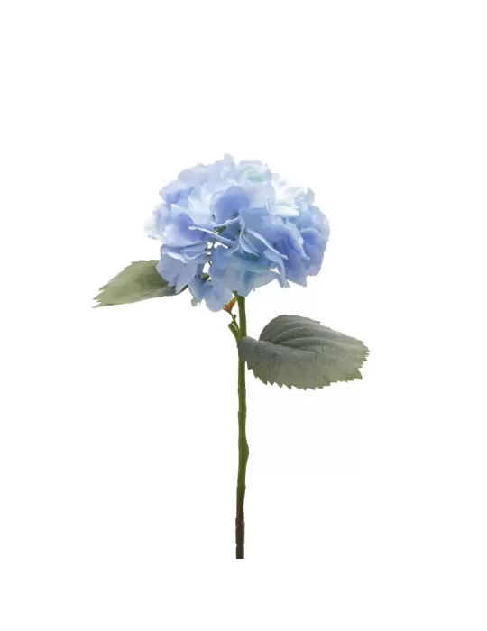 ORTENSIA RAMO C/FOGLIE H66