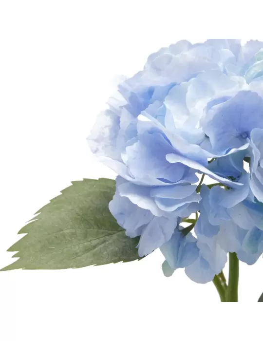 ORTENSIA RAMO C/FOGLIE H66