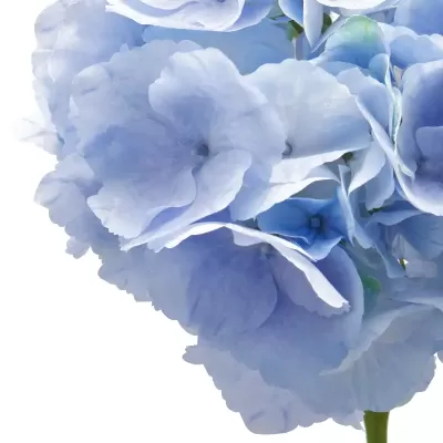 Ramo di Ortensia Artificiale H91 cm Blu Chiaro - Fiori... 2