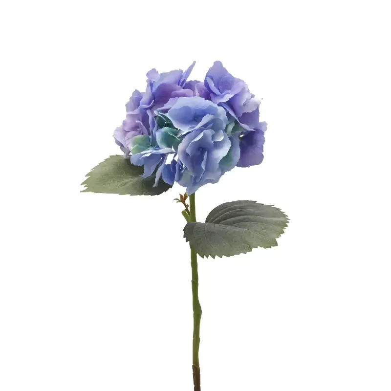 ORTENSIA RAMO C/FOGLIE H66