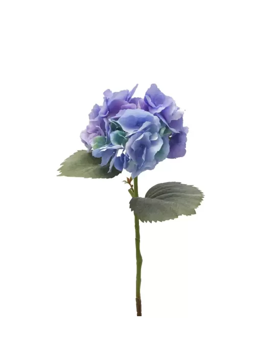 ORTENSIA RAMO C/FOGLIE H66