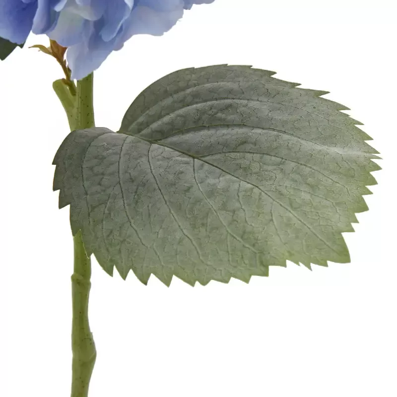 ORTENSIA RAMO C/FOGLIE H66