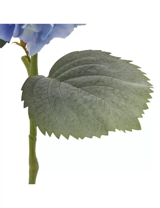 ORTENSIA RAMO C/FOGLIE H66