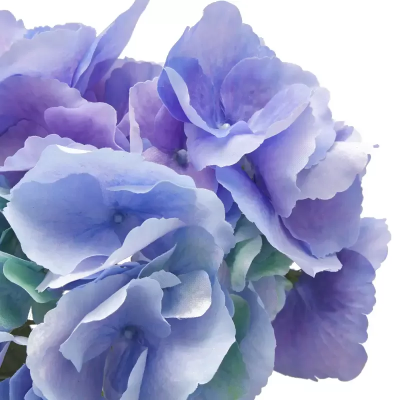 ORTENSIA RAMO C/FOGLIE H66