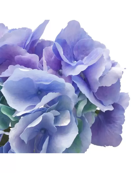 ORTENSIA RAMO C/FOGLIE H66