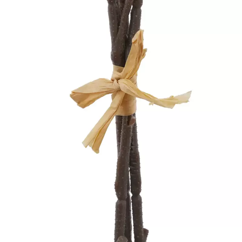 EUCALIPTO MAZZO X0 H55