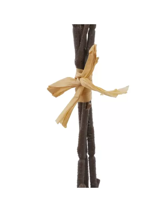 EUCALIPTO MAZZO X0 H55