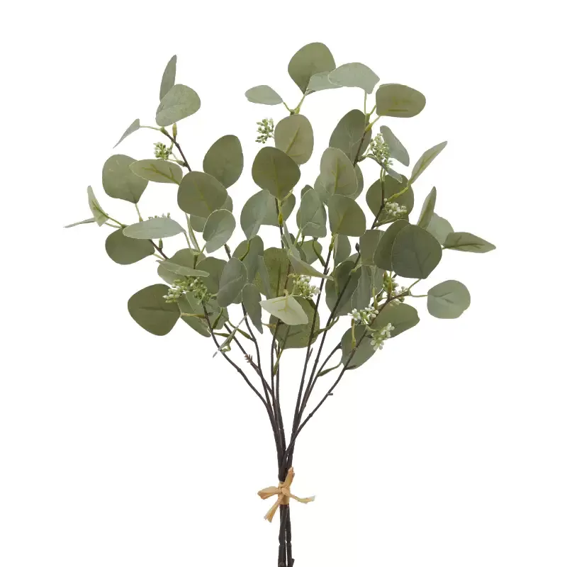 EUCALIPTO MAZZO X0 H55