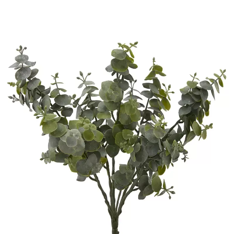 EUCALIPTO CHIC CESP. X7 H36