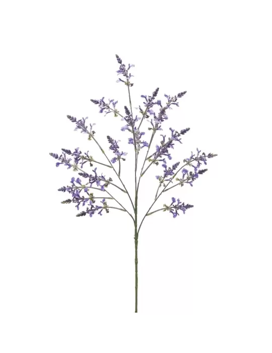 LAVANDA RAMO H80