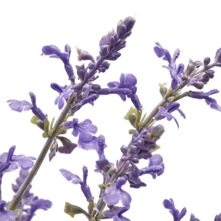 EDG Enzo De Gasperi Ramo artificiale di lavanda alto 80 cm