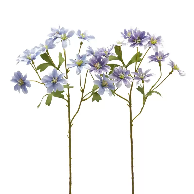 ANEMONE  RAMO C/FOGLIE 2ASS H56