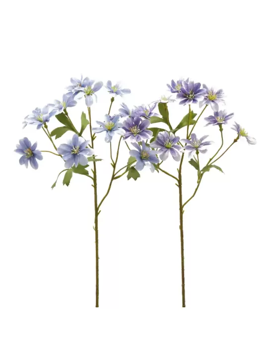 ANEMONE  RAMO C/FOGLIE 2ASS H56