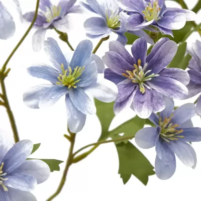 ANEMONE  RAMO C/FOGLIE 2ASS H56 2