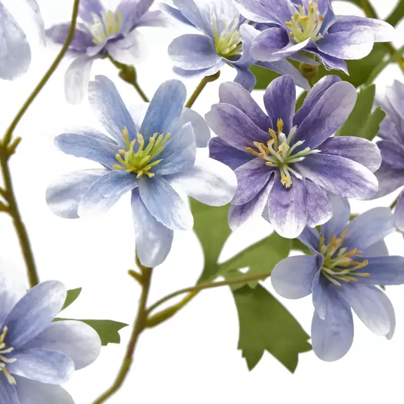 ANEMONE  RAMO C/FOGLIE 2ASS H56