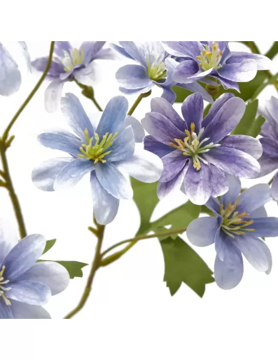 ANEMONE  RAMO C/FOGLIE 2ASS H56