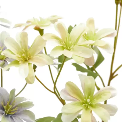 ANEMONE  RAMO C/FOGLIE 2ASS H56 2