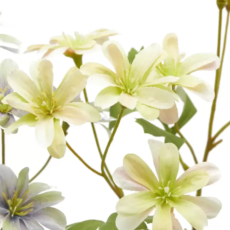 ANEMONE  RAMO C/FOGLIE 2ASS H56