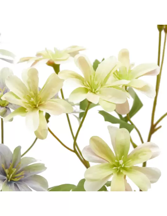 ANEMONE  RAMO C/FOGLIE 2ASS H56