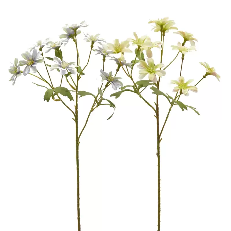 ANEMONE  RAMO C/FOGLIE 2ASS H56