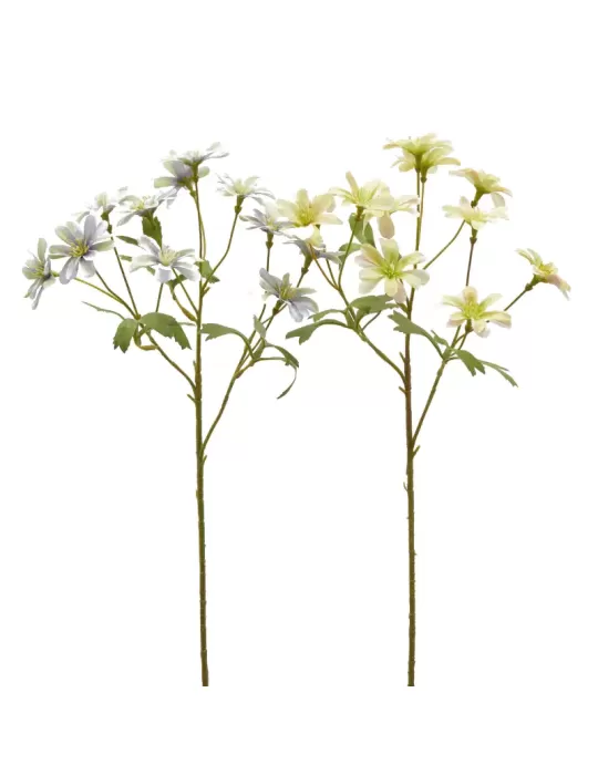 ANEMONE  RAMO C/FOGLIE 2ASS H56