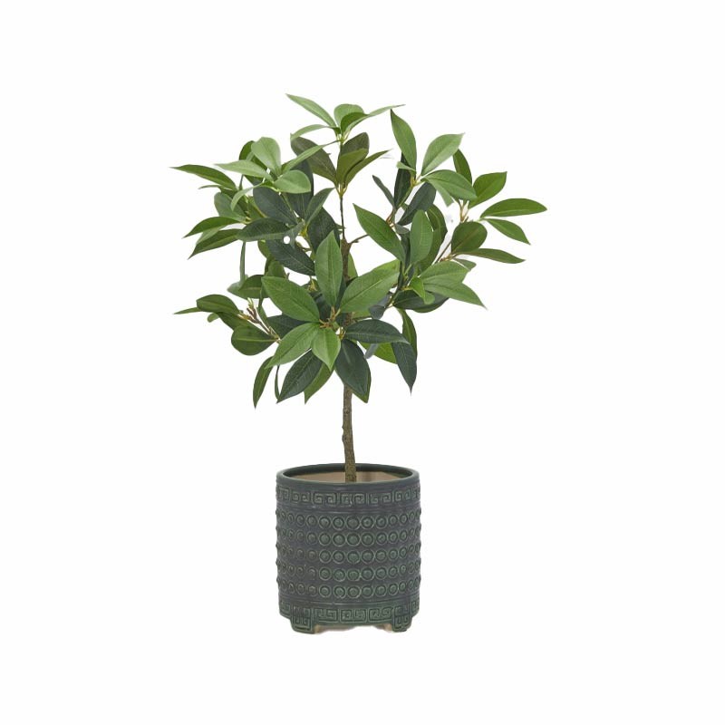 Vaso Cachepot Qing in Ceramica Verde Scuro...