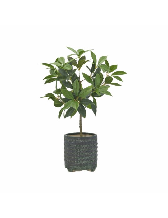 Vaso Cachepot Qing in Ceramica Verde Scuro...