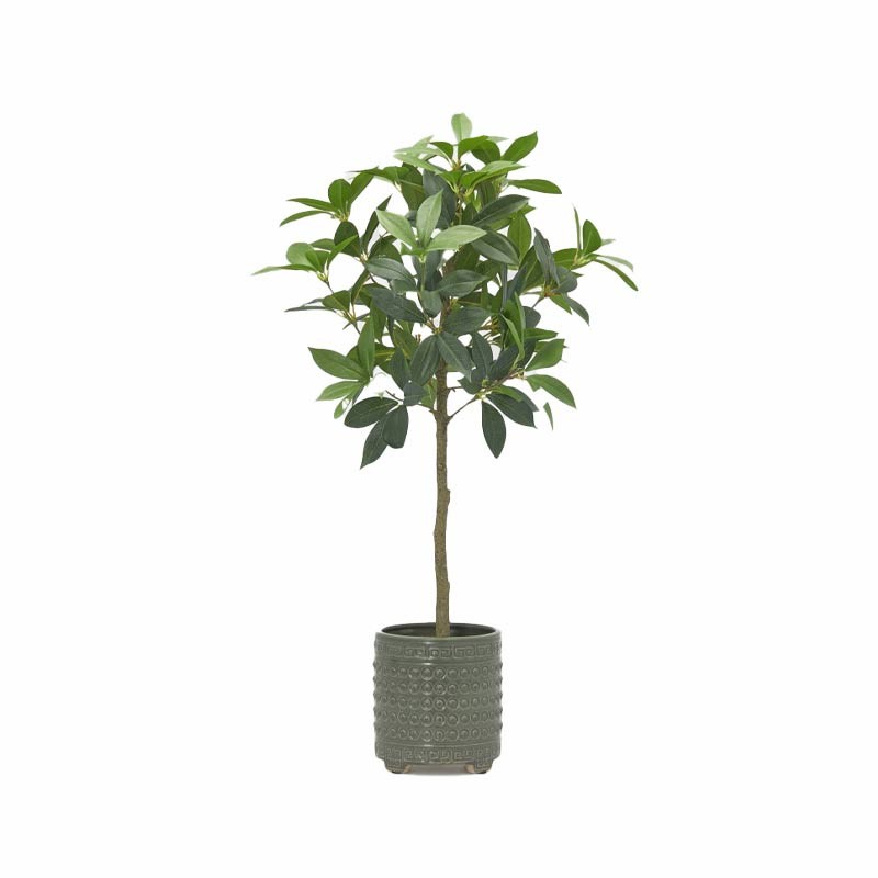 Vaso Cachepot Qing in Ceramica Verde Lucida H17...