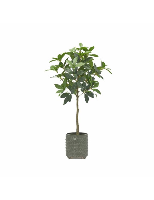 Vaso Cachepot Qing in Ceramica Verde Lucida H17...