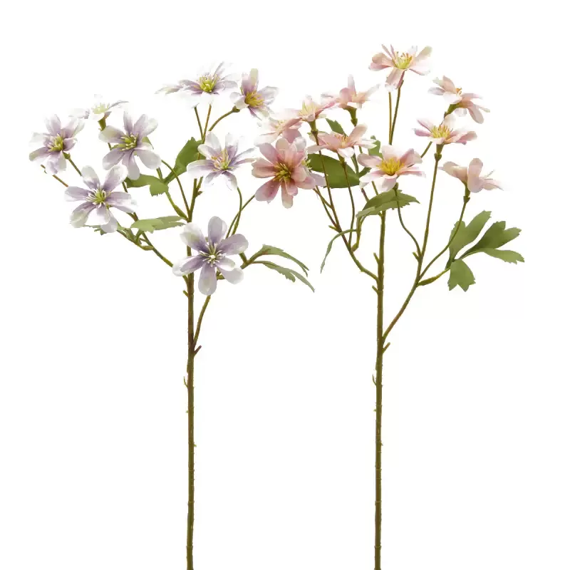 ANEMONE  RAMO C/FOGLIE 2ASS H56