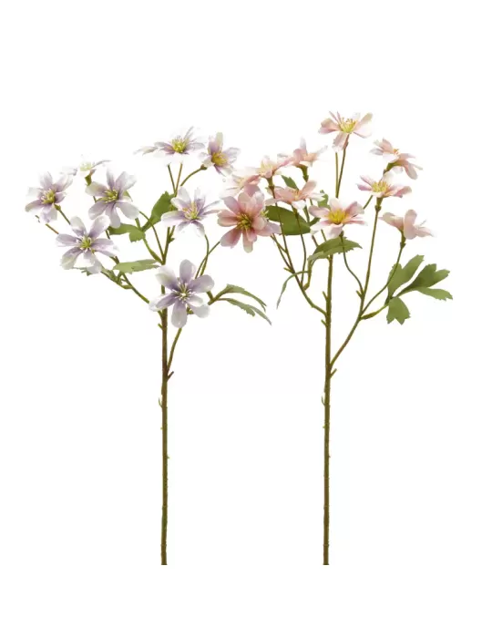 ANEMONE  RAMO C/FOGLIE 2ASS H56