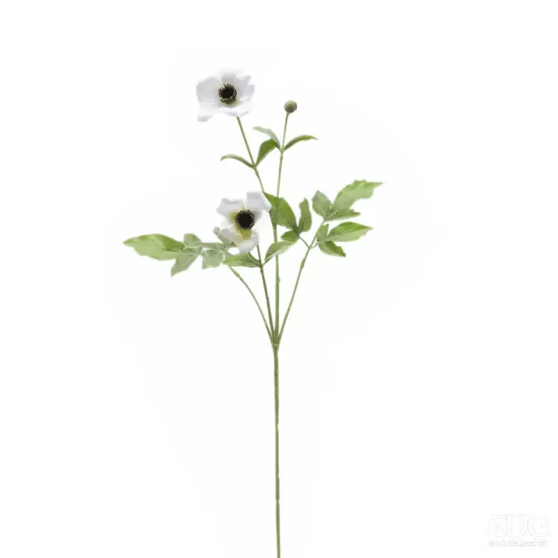 AMEMONE RAMO X2 C/BOCCIOLO H70