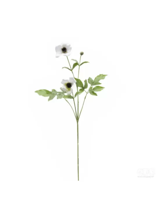 AMEMONE RAMO X2 C/BOCCIOLO H70