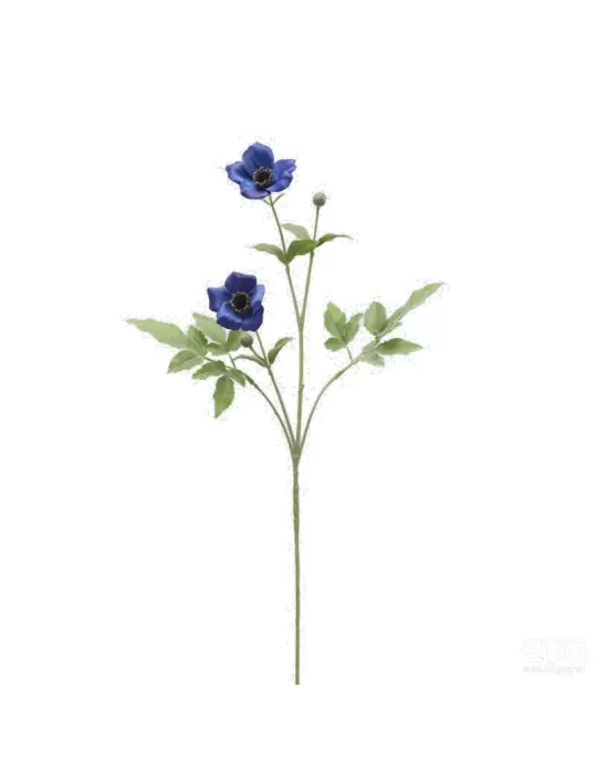 AMEMONE RAMO X2 C/BOCCIOLO H70