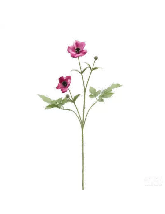 AMEMONE RAMO X2 C/BOCCIOLO H70