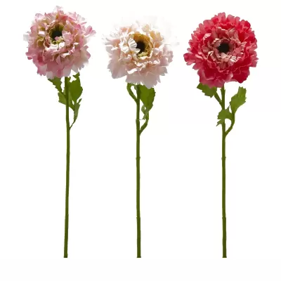 ANEMONE C/FOGLIE 3ASS. H53