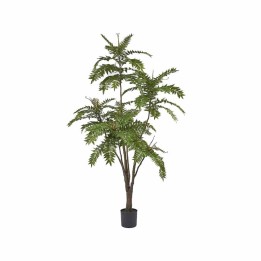 EDG Enzo De Gasperi Ailanto artificiale con vaso alto 220 cm