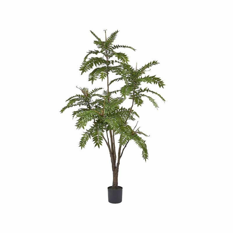 Ailanto Artificiale con Vaso H220 – EDG