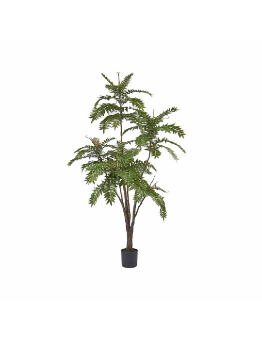Ailanto Artificiale con Vaso H220 – EDG