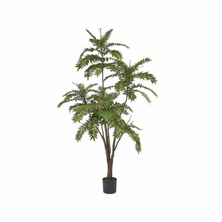 EDG Enzo De Gasperi Ailanto artificiale con vaso alto 220 cm