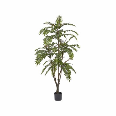AILANTO C/VASO H150