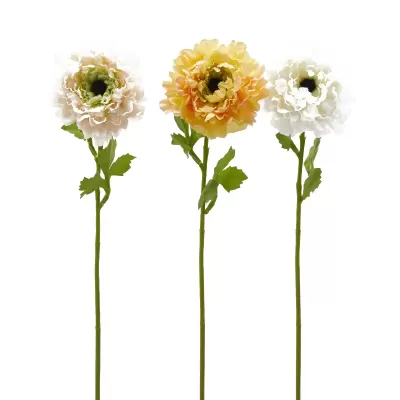 ANEMONE C/FOGLIE 3ASS. H53
