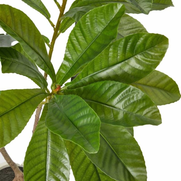 EDG Camelia Carinata artificiale con vaso alta 160 cm