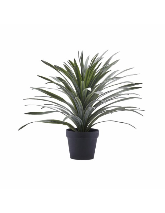 Bromelia Artificiale con Vaso H.58 cm Verde - EDG Enzo De Gasperi