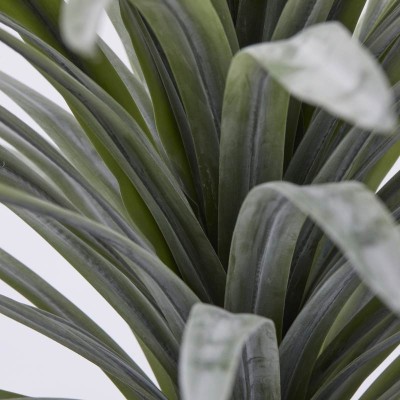 BROMELIA C/VASO H58 2